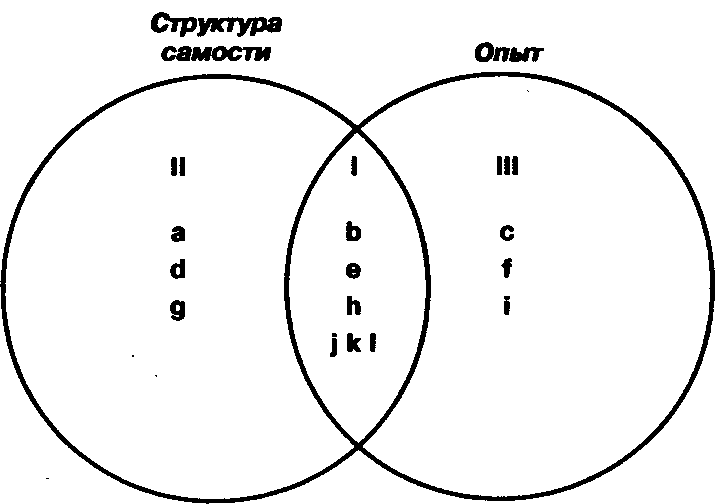 Структура опыта. Структура личности по Роджерсу схема. Схема личности Роджерса. Феноменальное поле Роджерс. Поле опыта Роджерс.