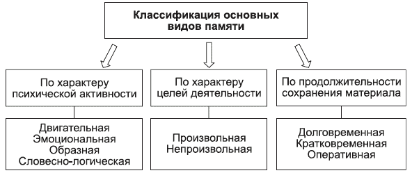 Урок 8 класс "Память, ее виды"