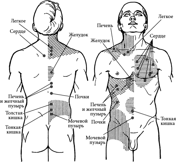 Точки ци на теле человека схема расположения