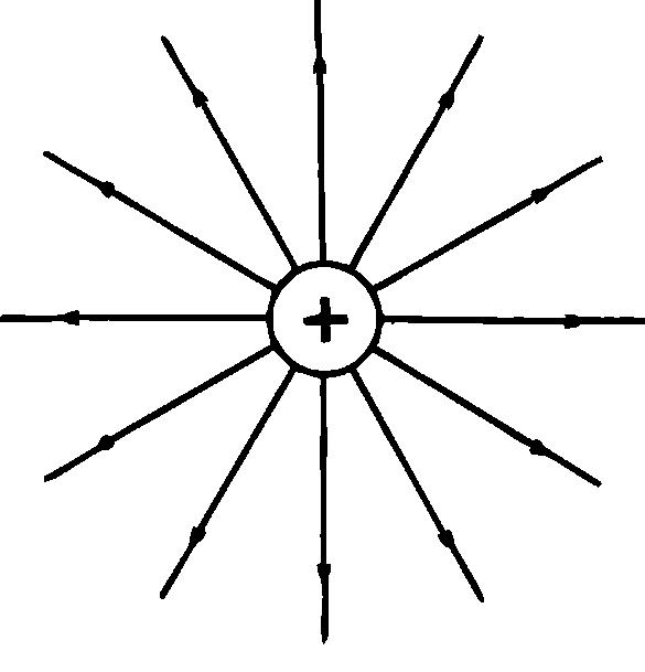 Картина линий напряженности электростатического поля точечного положительного заряда