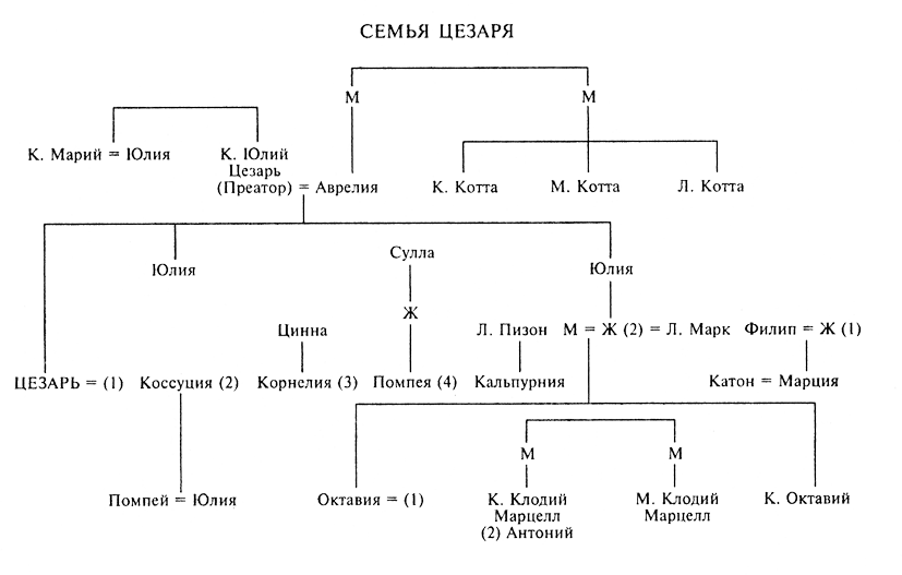 Семья юлиев. Гай Юлий Цезарь родословная. Гай Юлий Цезарь генеалогическое Древо. Родословная Гай Юлия Цезаря. Юлий Цезарь родословная.