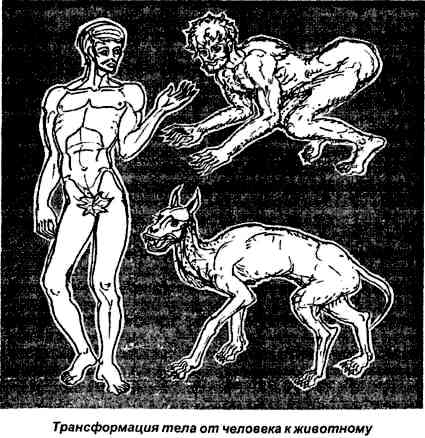 Покажи человека который превращается в людей. Покажи человека который превращается в людей. Превращение в собаку мем. Превращение человека в животное. Покажи человека который превращается в людей.