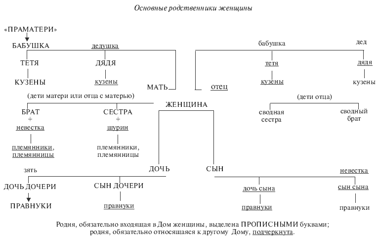 Схема родства в семье