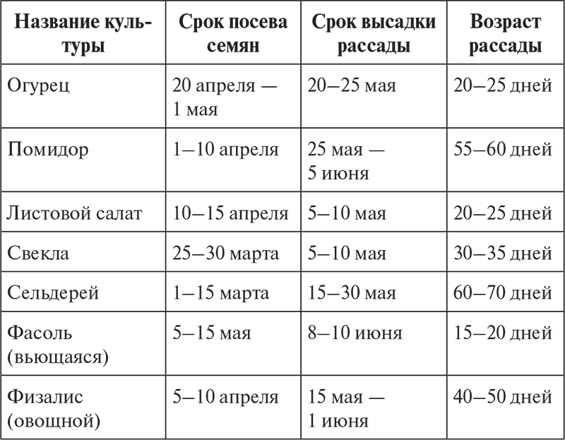 Рассада по месяцам. Сроки высадки рассады овощей в открытый грунт. Таблица посева семян овощных культур в открытый грунт. Сроки посева культур и высадки рассады. Сроки высадки рассады таблица.