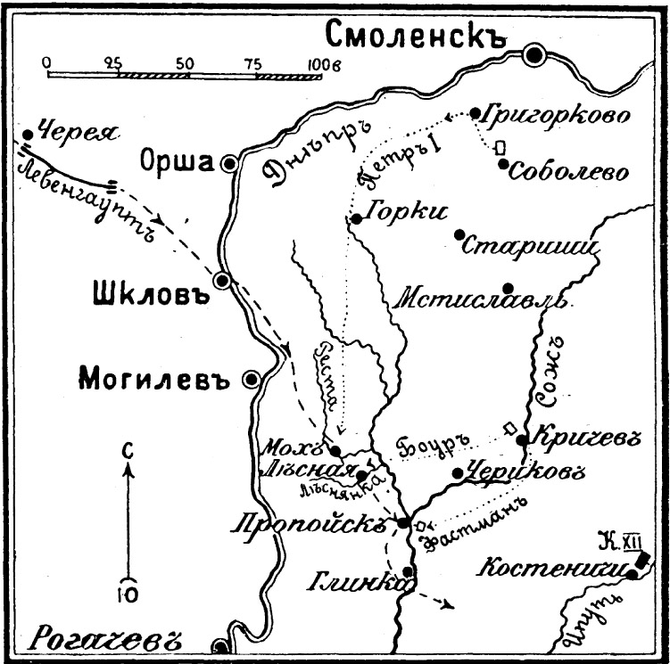 Участниками изображенных на схеме событий были левенгаупт и мазепа