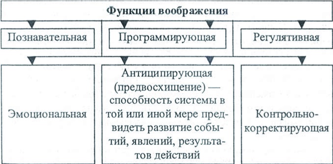 Функции воображения. Функции воображения в психологии. Функции воображения в психологии кратко. Анализ функций воображения таблица. Функции воображения в психологии таблица.