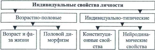 Общая схема индивидных свойств человека