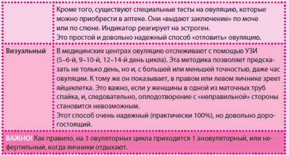 В какой позе быстрее зачать ребенка картинки