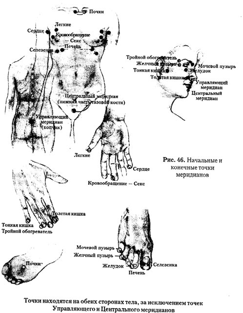 Донна иден энергетическая медицина с рисунками читать онлайн