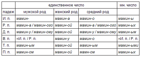 Род число падеж имен прилагательных. Род число падеж. Род число падеж существительного. Существительные род число падеж. Род число и падеж прилагательных и существительных.