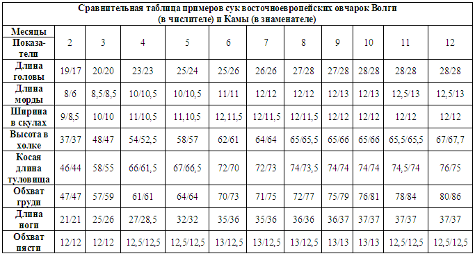 Вес овчарки таблица. Вес немецкой овчарки по месяцам таблица кобель. Вес немецкой овчарки в 5 месяцев кобель. Щенок Восточно европейской овчарки таблица веса. Рост щенка немецкой овчарки в 2 месяца.