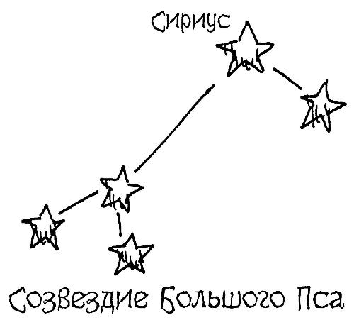 Картинка созвездия большой пес