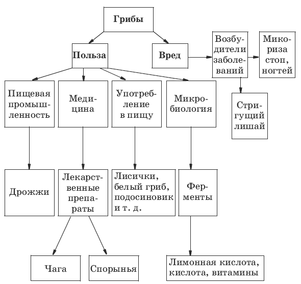 Биология в схемах 5 класс