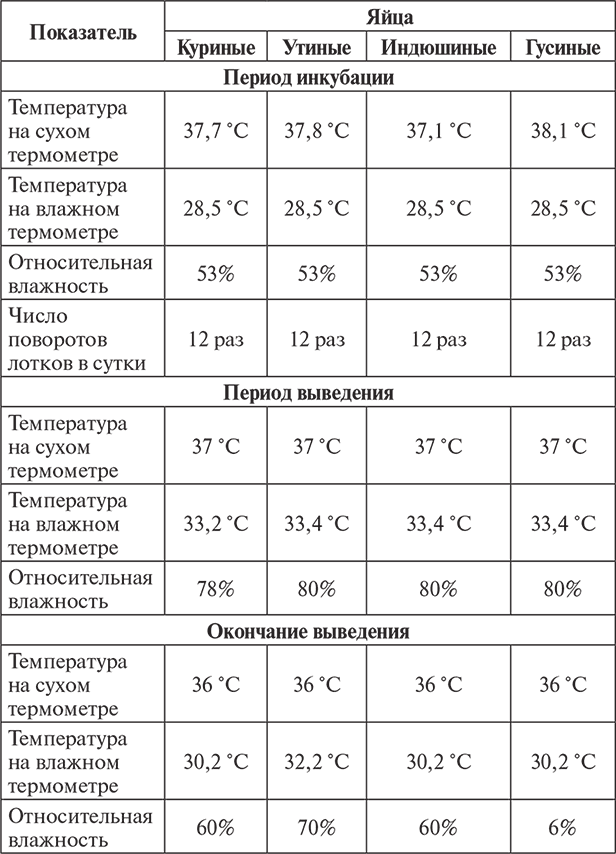 Схема инкубации индюшиных яиц