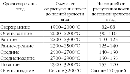 Срок созревания. Таблица созревания винограда. Сроки созревания винограда. Таблица сроков созревания винограда. Таблица сортов винограда по срокам созревания.