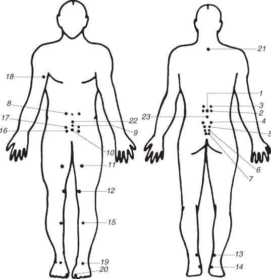 Точки тела. Точки акупунктуры при простатите. Точки человека на теле 5 точка. Массажные точки мужчин. Точки для массажа на спине мужские.