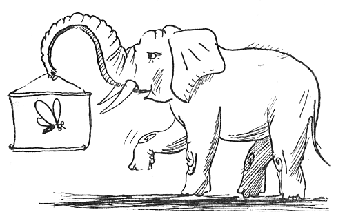 Делать слона фразеологизм. Комар и слон. Фразеологизм из мухи слона раскраска. Рисунок Муха на слоне. Фразеологизм про слона и муху.