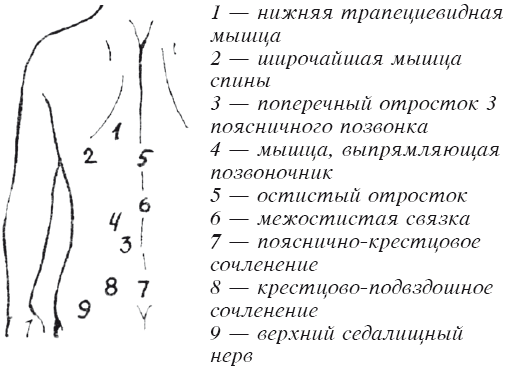 Схема общего массажа