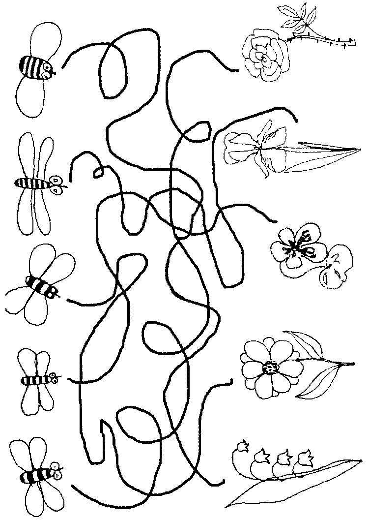 Картинки цветов задания. Насекомые задания для дошкольников. Насекомые задания для детей 6-7 лет. Задания для детей про насекомых для дошкольников. Насекомые занятие для дошкольников.