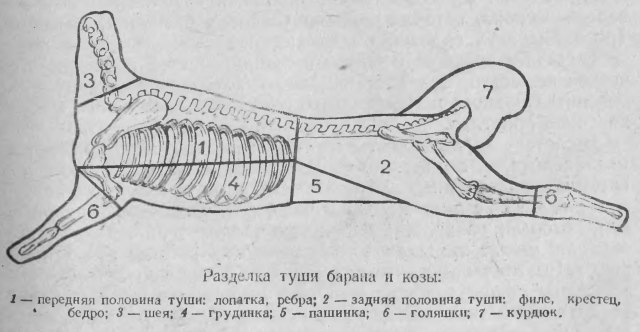 Схема разделки бараньей полутуши