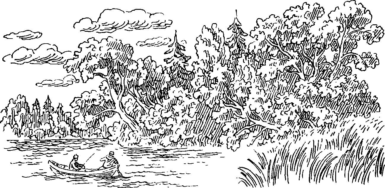 Иллюстрация к рассказу васюткино озеро карандашом. Васюткино озеро. Иллюстрация Васюткино озеро 5 класс. Васюткино озеро разукрашка. Васюткино озеро 5 класс.