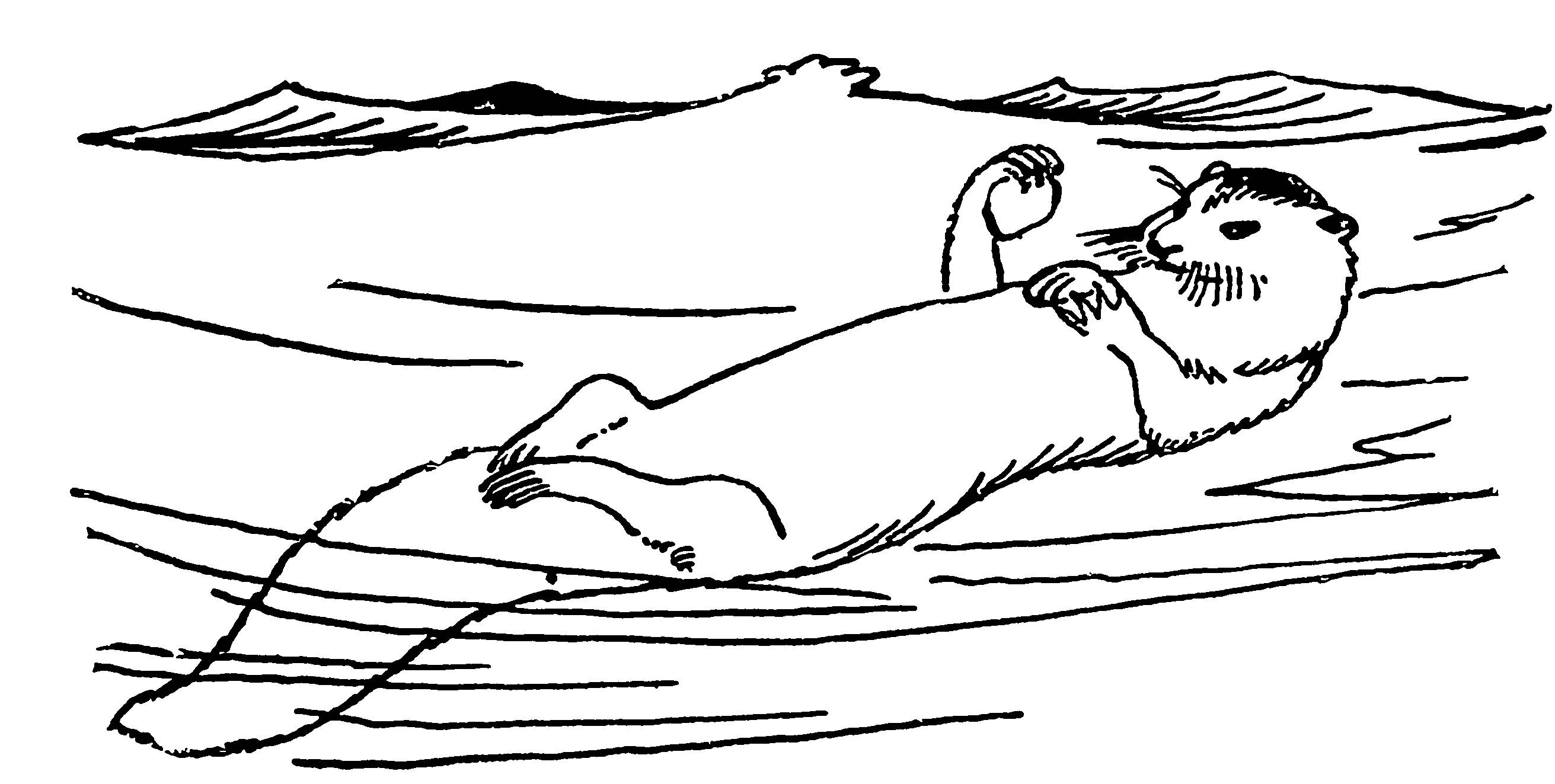 Нарисованного калана лежащего на воде