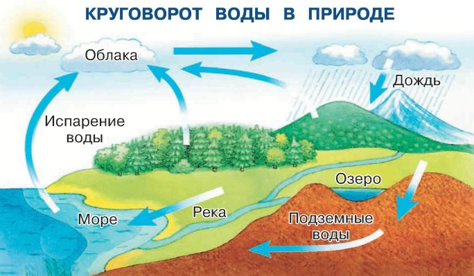 Схема о круговороте воды в природе