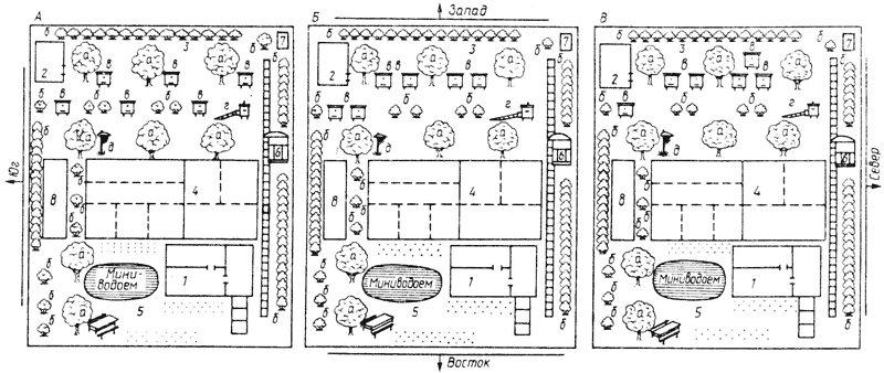 Расстановка ульев на пасеке схема