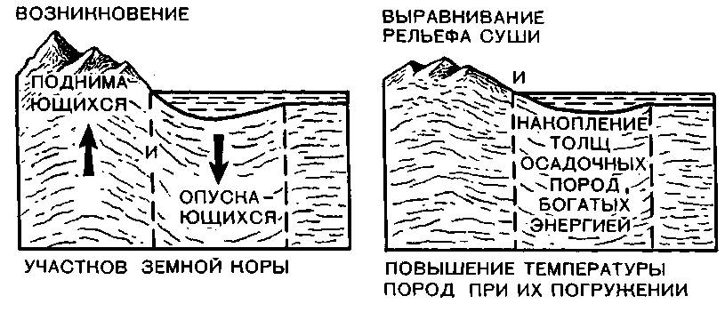 Рельеф выровненный. Выравнивание рельефа. Выравнивание рельефа участка земли. Фото выравнивание рельефа.