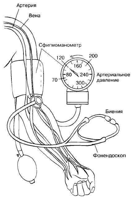 Схема измерения артериального давления