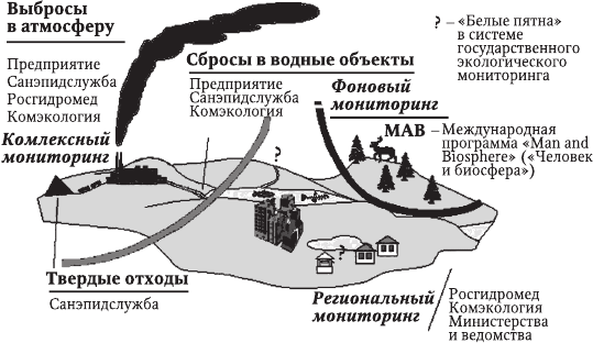 Уровни экологического мониторинга схема