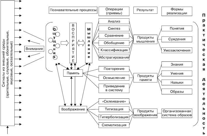 Схема в психологии восприятия