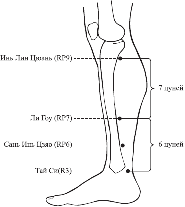 Инь линь гайд. Точка Сань Инь Цзяо (6 Rp). Точка Инь Лин цюань. Точка массажа Инь-Лин - цюань.