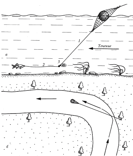 Постановка сети на течении. Постановка сетей на реке с течением. Сеть для течения. Ловля сетью на течении.