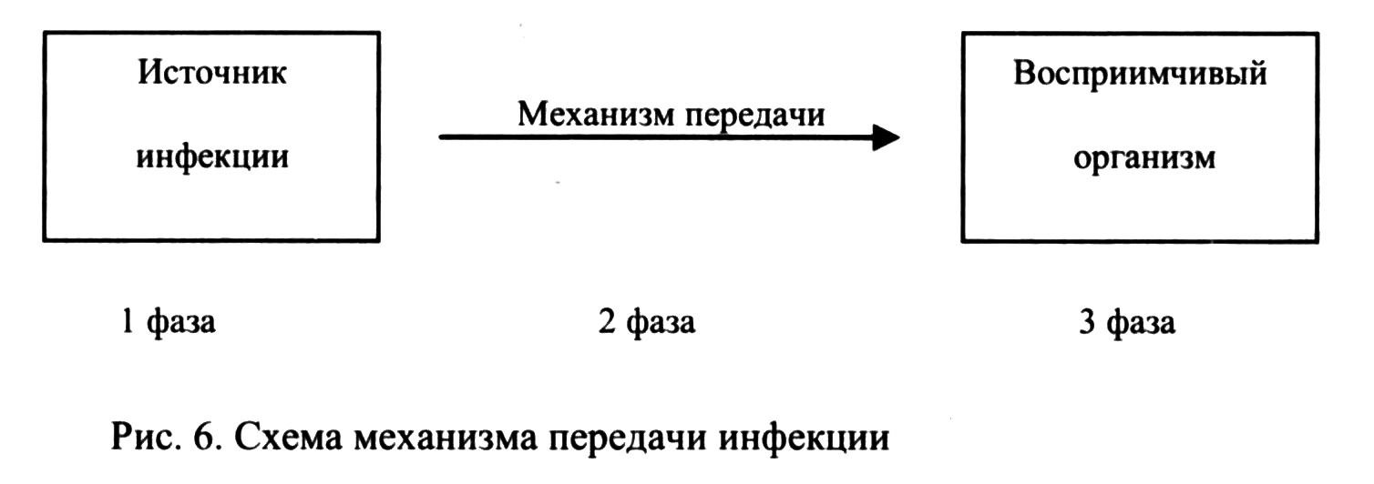 Схема цепочки инфекционного процесса