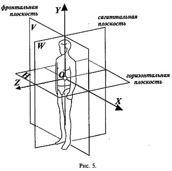 Плоскости тела человека схема