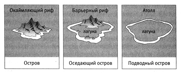 Образование атолла схема