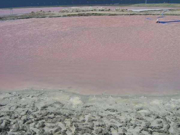 Родное море арзамас