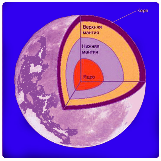 Схема строения луны