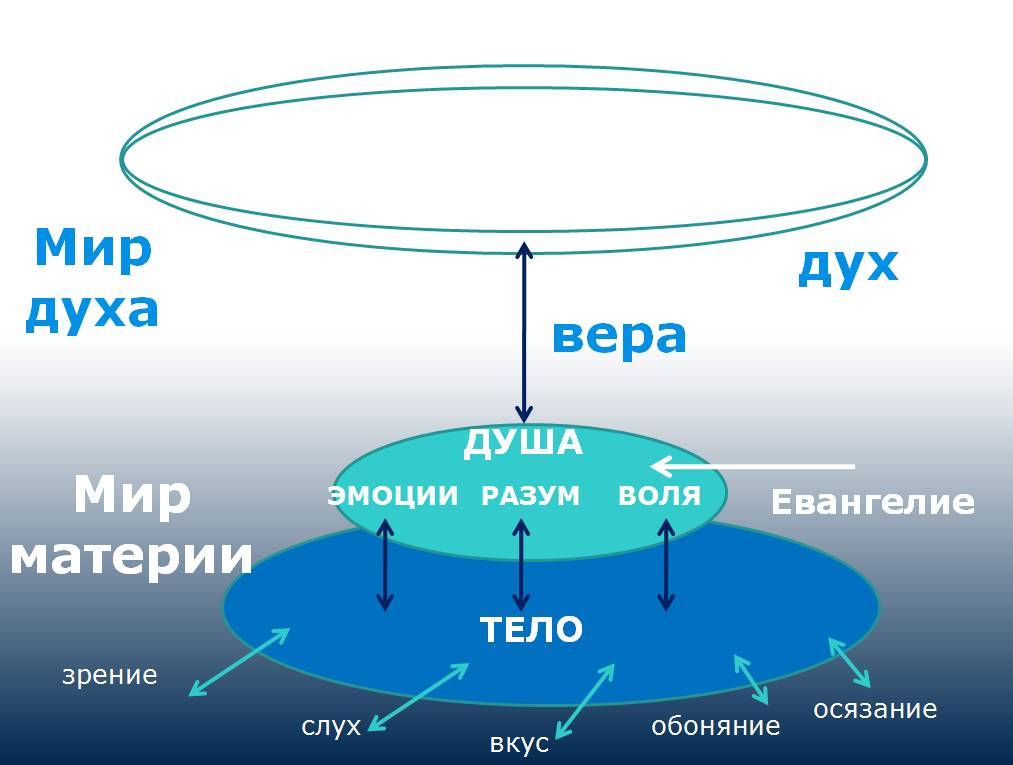 Тело душа дух картинки