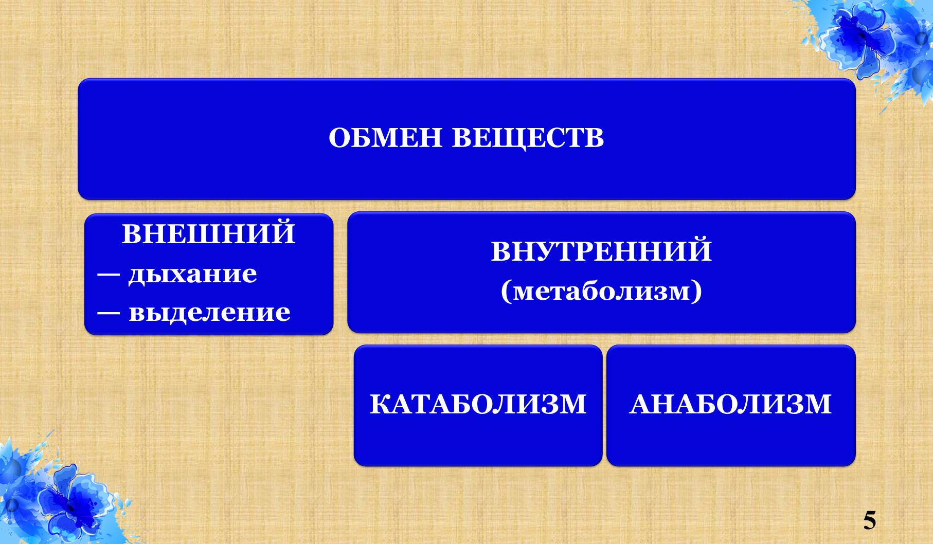 Обмен me. Амфиболизм. Анаболизм и катаболизм. Амфиболизм микробиология. Обмен в химии.