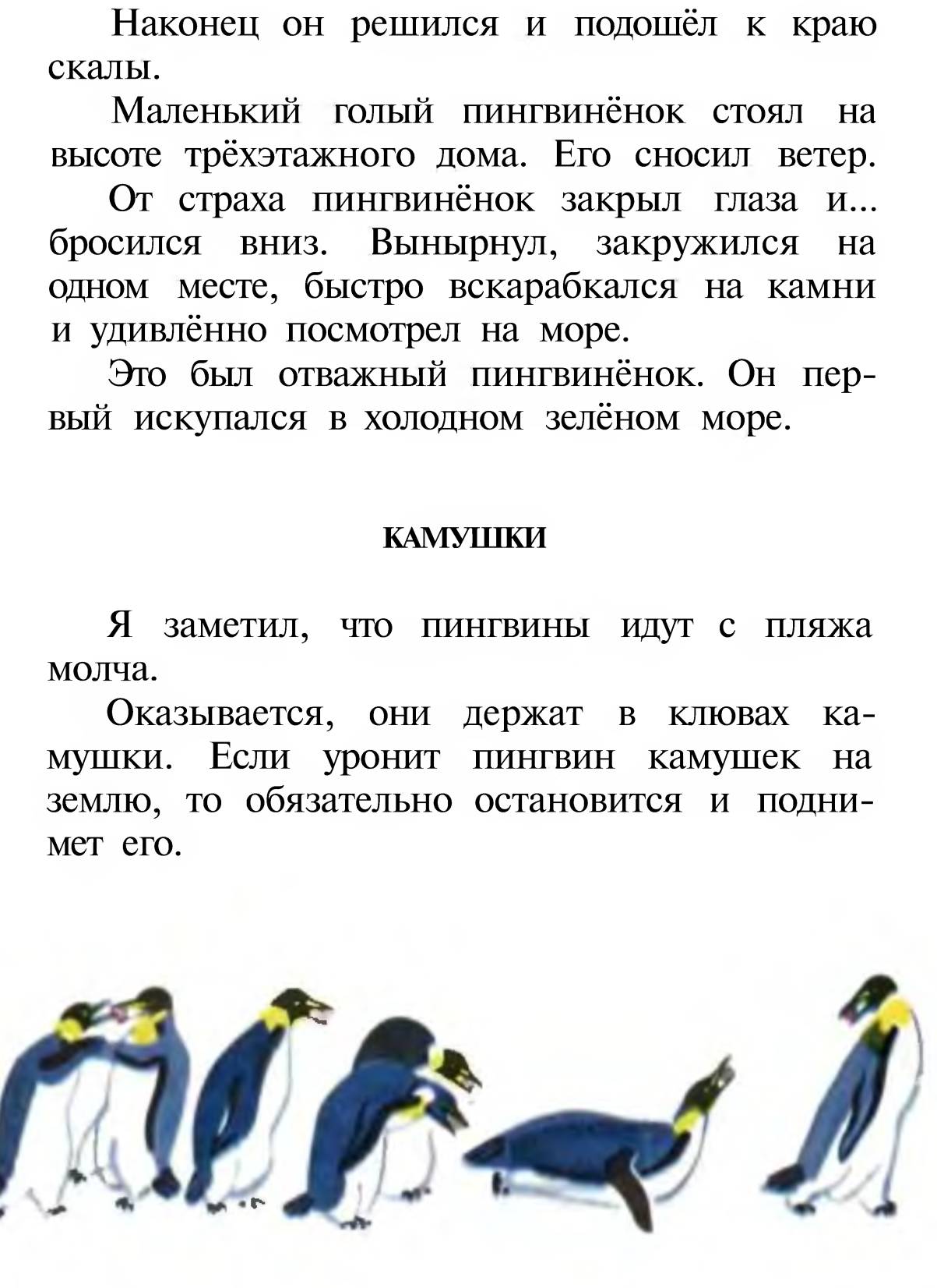 Отважный пингвиненок изложение 5 класс презентация