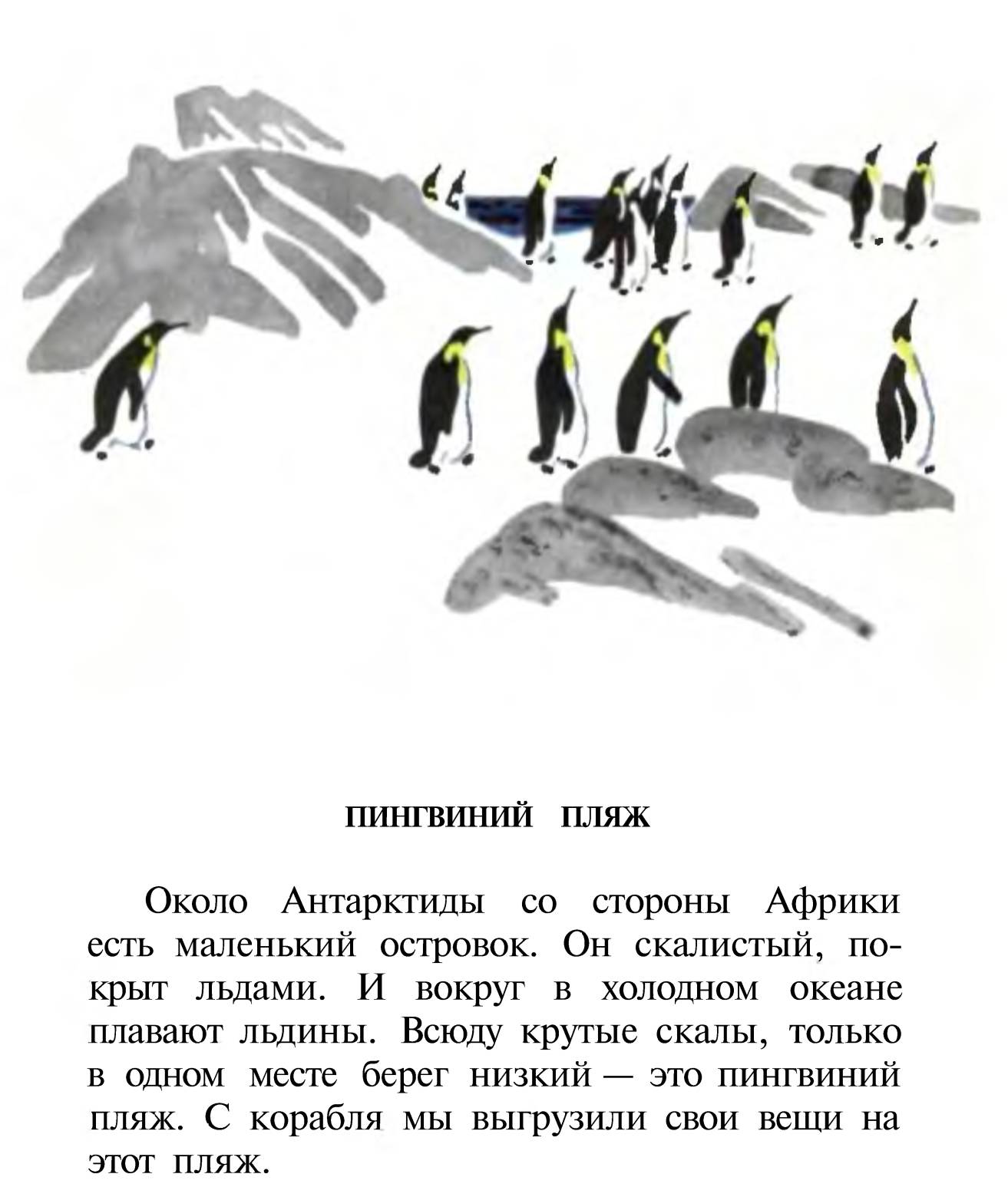 Чтение рассказов про пингвинов снегирева в старшей. Рассказ про пингвинов Снегирев. Г Снегирева про пингвинов рассказ. Чтение рассказа Снегирева Пингвиний пляж.