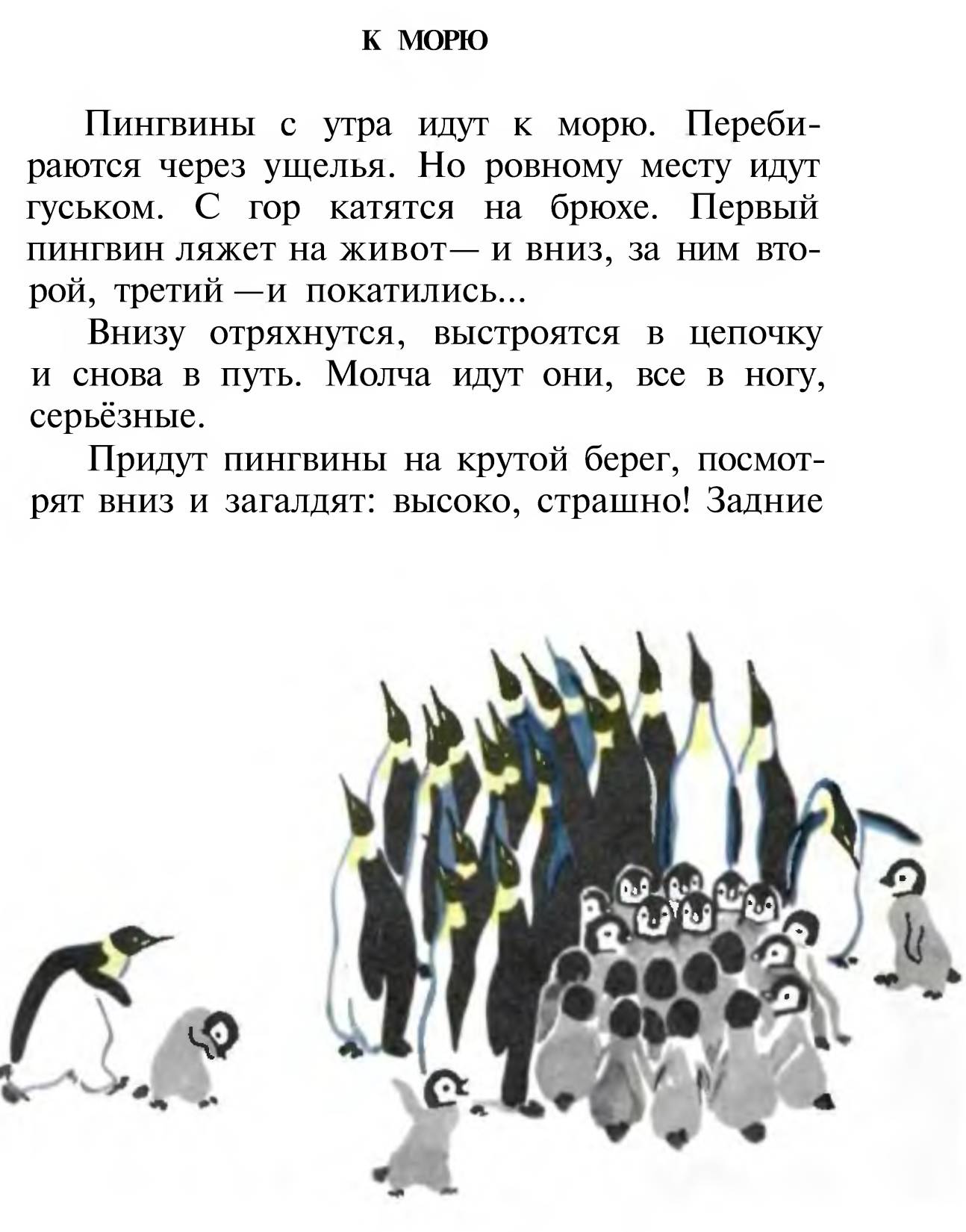 Чтение рассказов про пингвинов снегирева в старшей. Рассказ про пингвинов Снегирев. Г Снегирев рассказы про пингвинов.