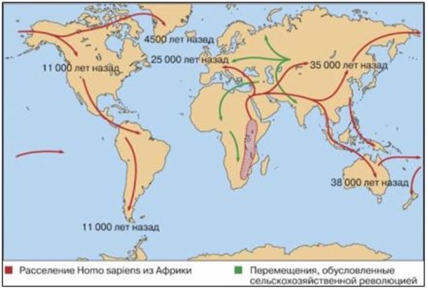 Расселение людей по американским континентам началось