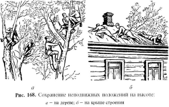 Тест разведчика на внимательность картинка