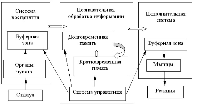 Система информации человек. Схема обработки информации человеком. Система восприятия информации. Восприятие и переработка информации. Модель системы переработки информации человеком.