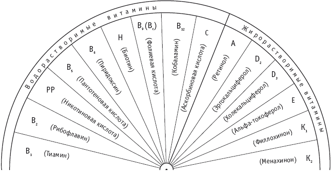 Многомерная медицина. Пучко диаграмма витамины. Диаграмма Пучко рис 14. Диаграмма трав Пучко. Рис.72 р/э диаграмма Пучко.