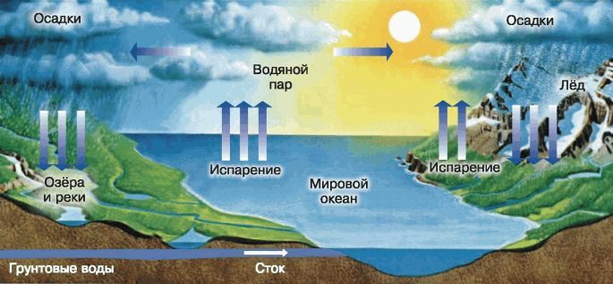 Круговорот воды в биосфере схема 11 класс