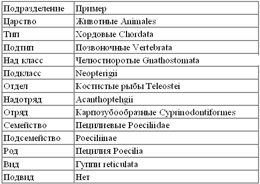 Таксоны царства животных. Таксономическая классификация рыб. Систематика рыб таксоны. Основные таксоны систематики животных на латинском. Сисстематика н алатыни.